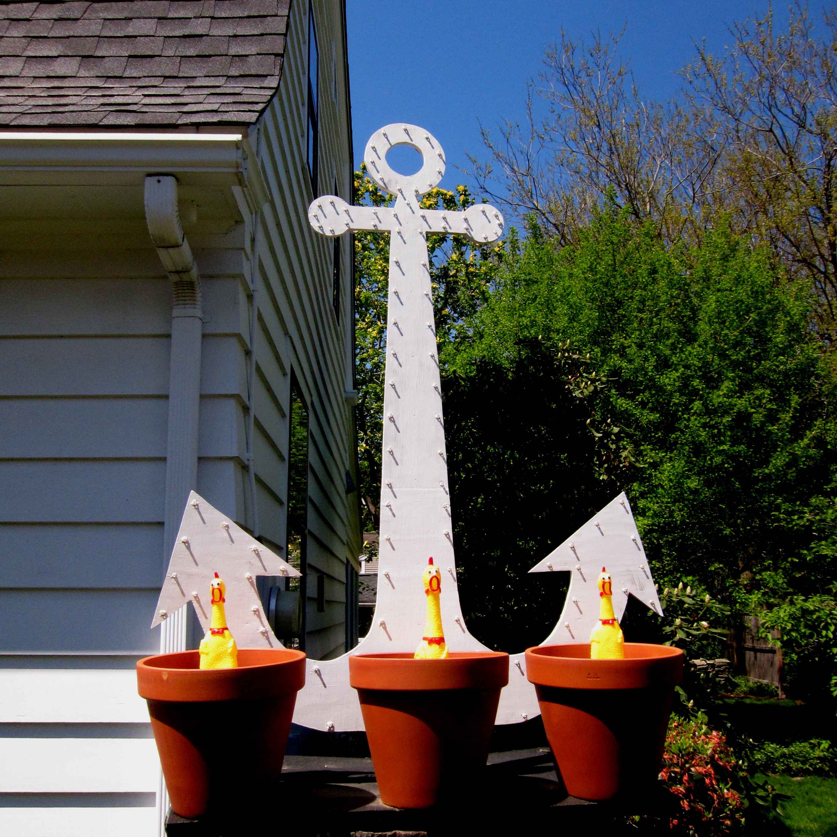Potted Chickens